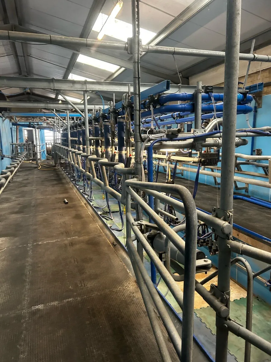 Delaval 28:28 herringbone parlour - Image 2