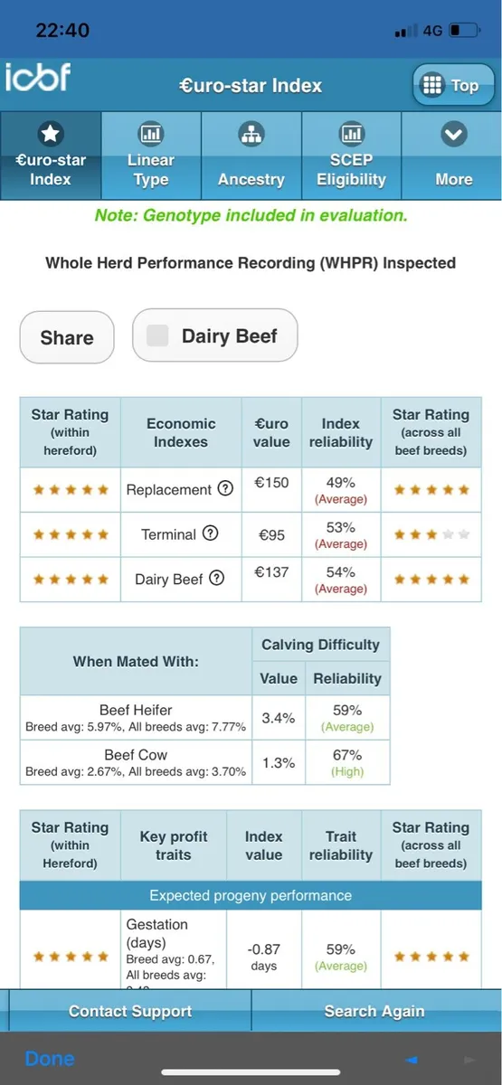 2 Yr old PBR Hereford Bull - Image 2