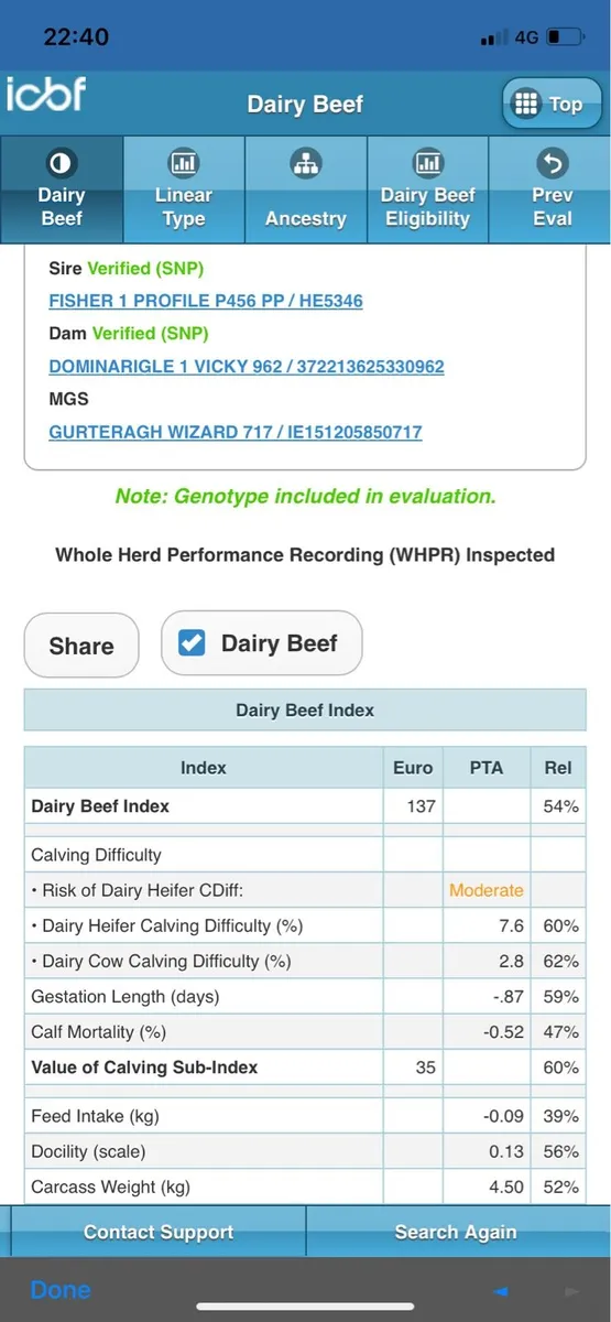 2 Yr old PBR Hereford Bull - Image 3