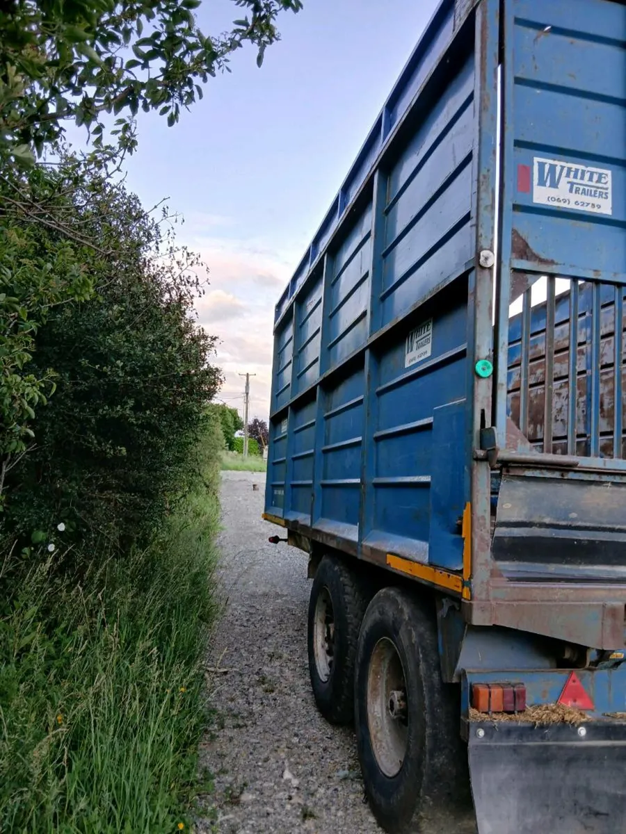 Silage trailer - Image 2