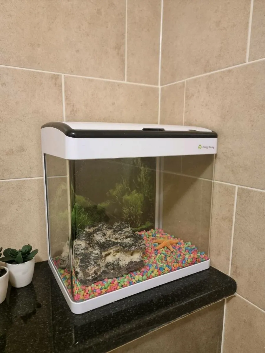 Fish Tank