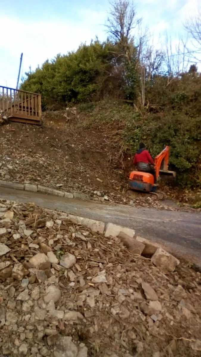 Diggers with drivers all work carried out - Image 2