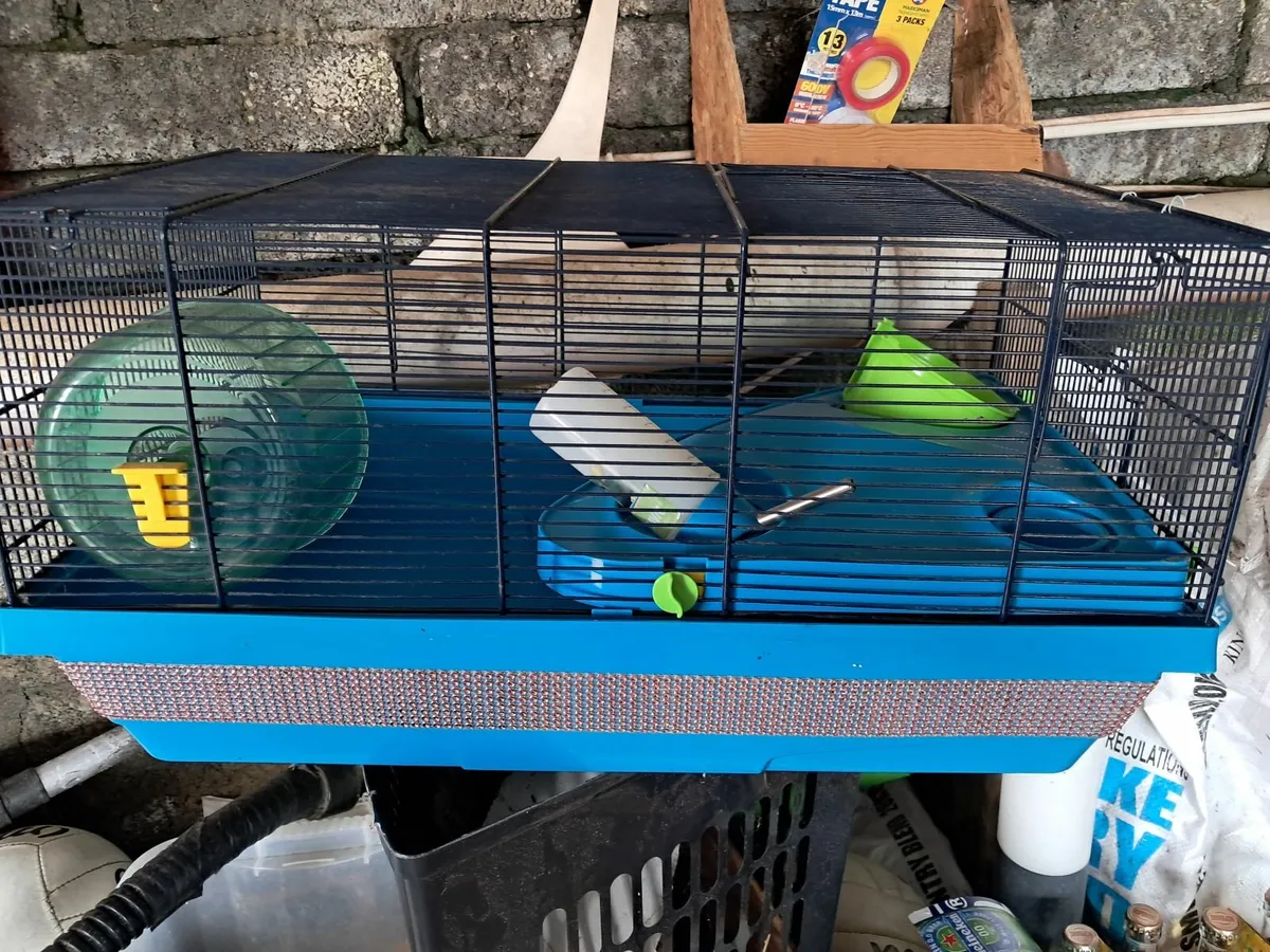 Hamster Cage