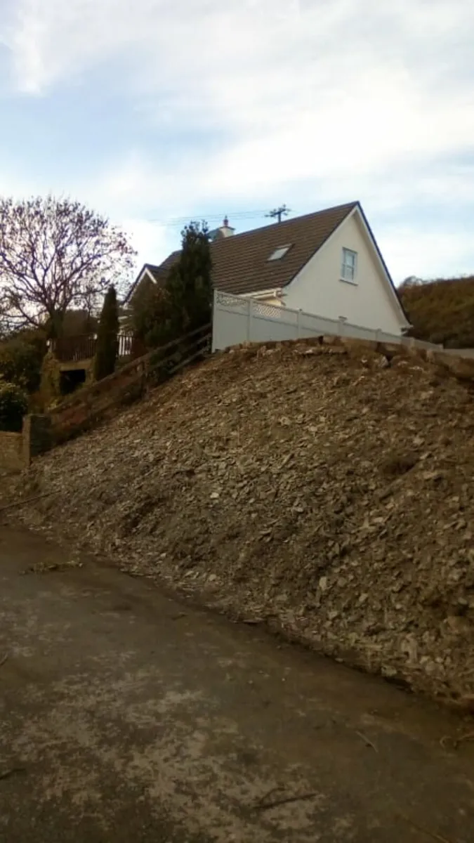 Diggers with drivers all work carried out - Image 2