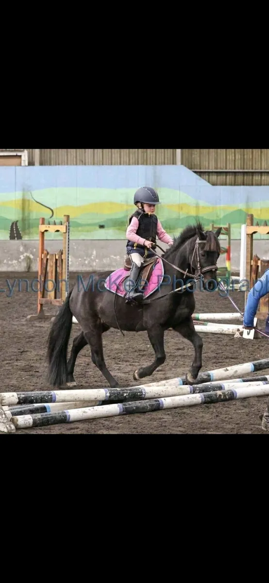 Perfect first pony - Image 3