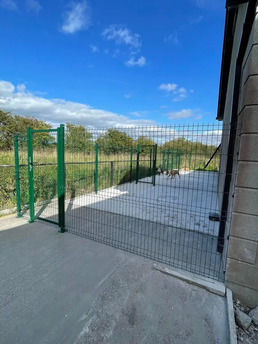 Dog run ,V mesh - Image 3
