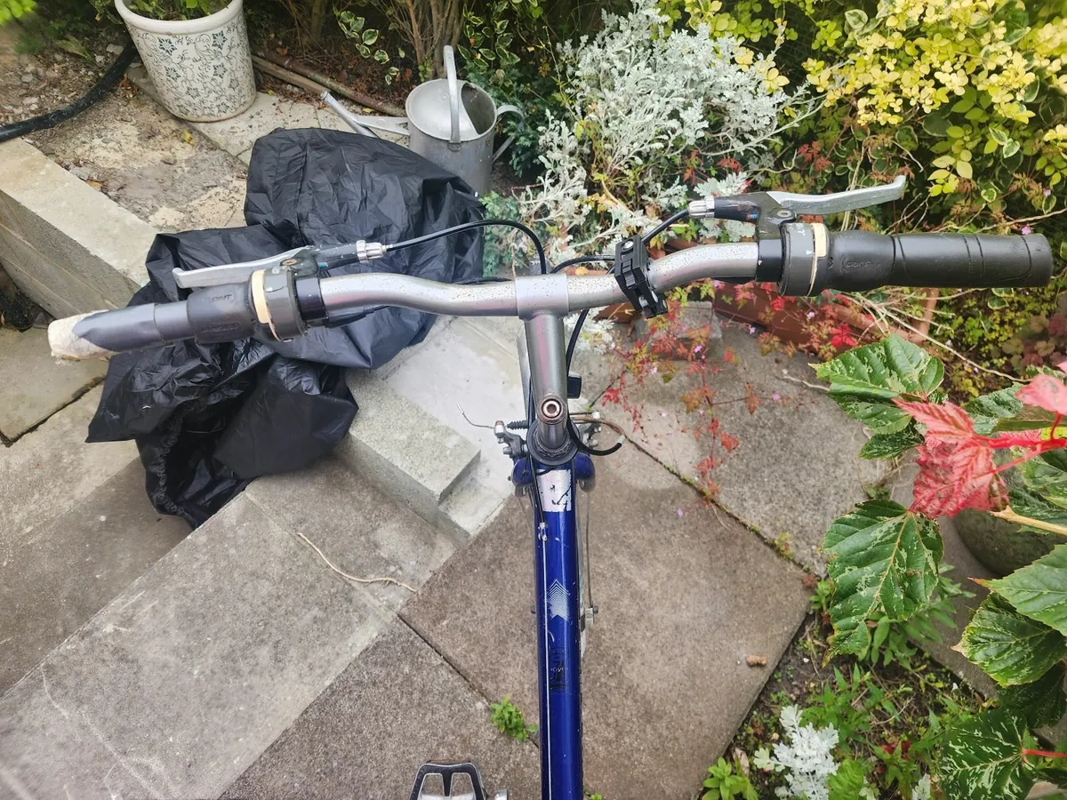 Bike - Image 2