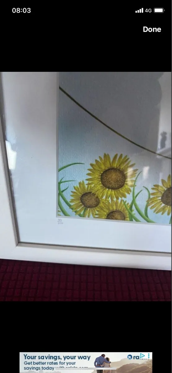 Nicola Chestnutt Limited Editions (3) - Image 3