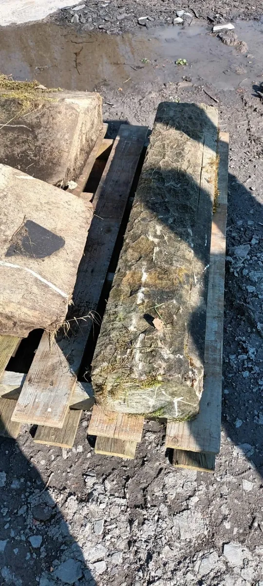 Decorative Stone - Image 3