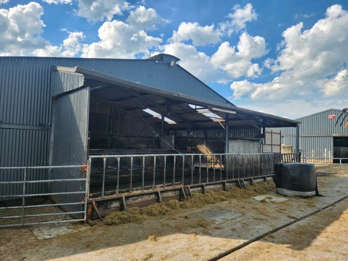 Shed Canopy - Image 1