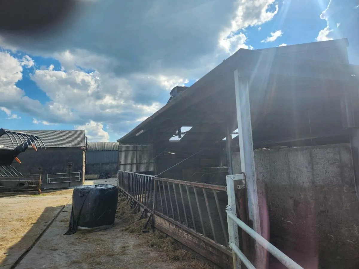 Shed Canopy - Image 2