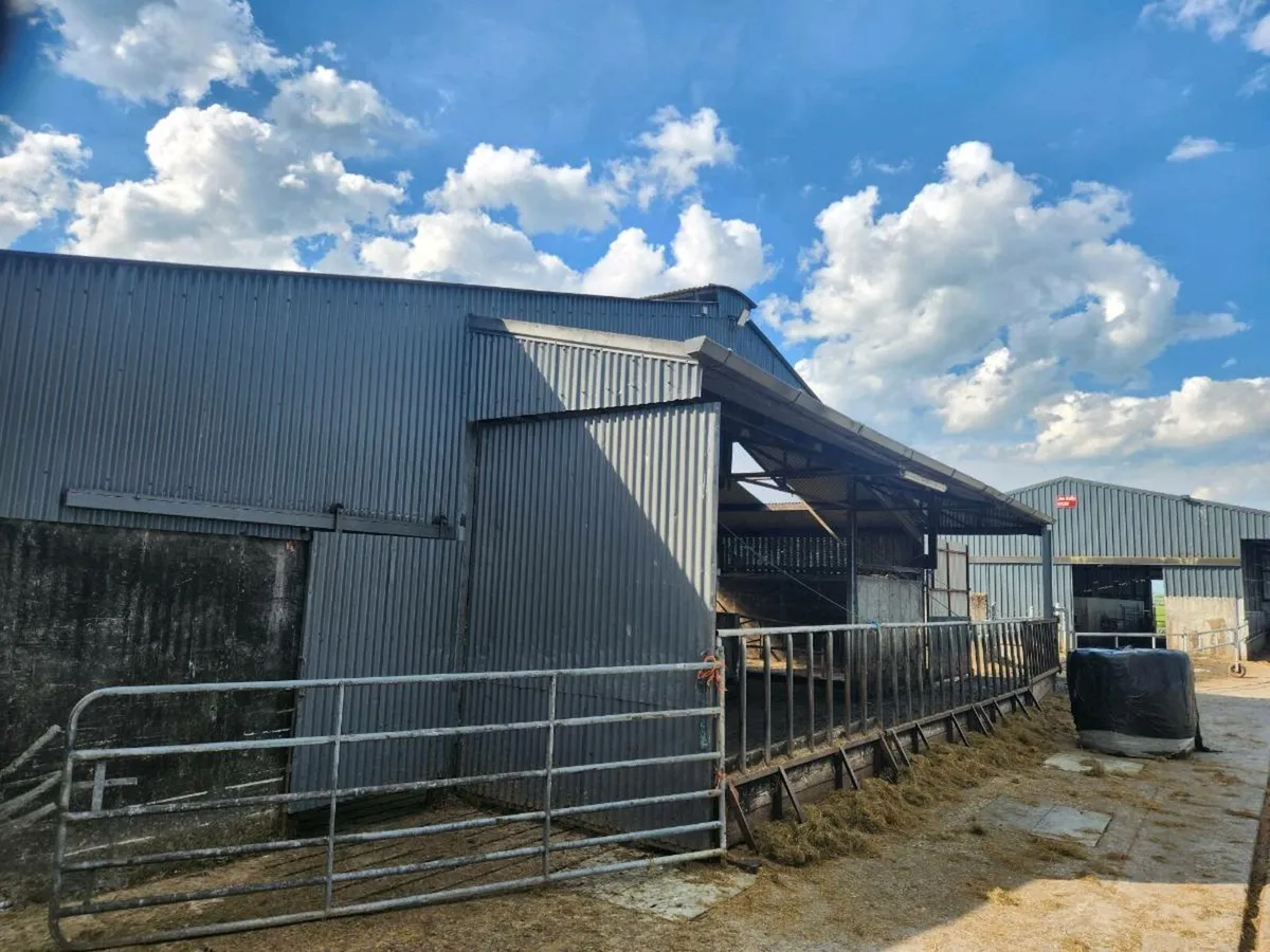 Shed Canopy - Image 3