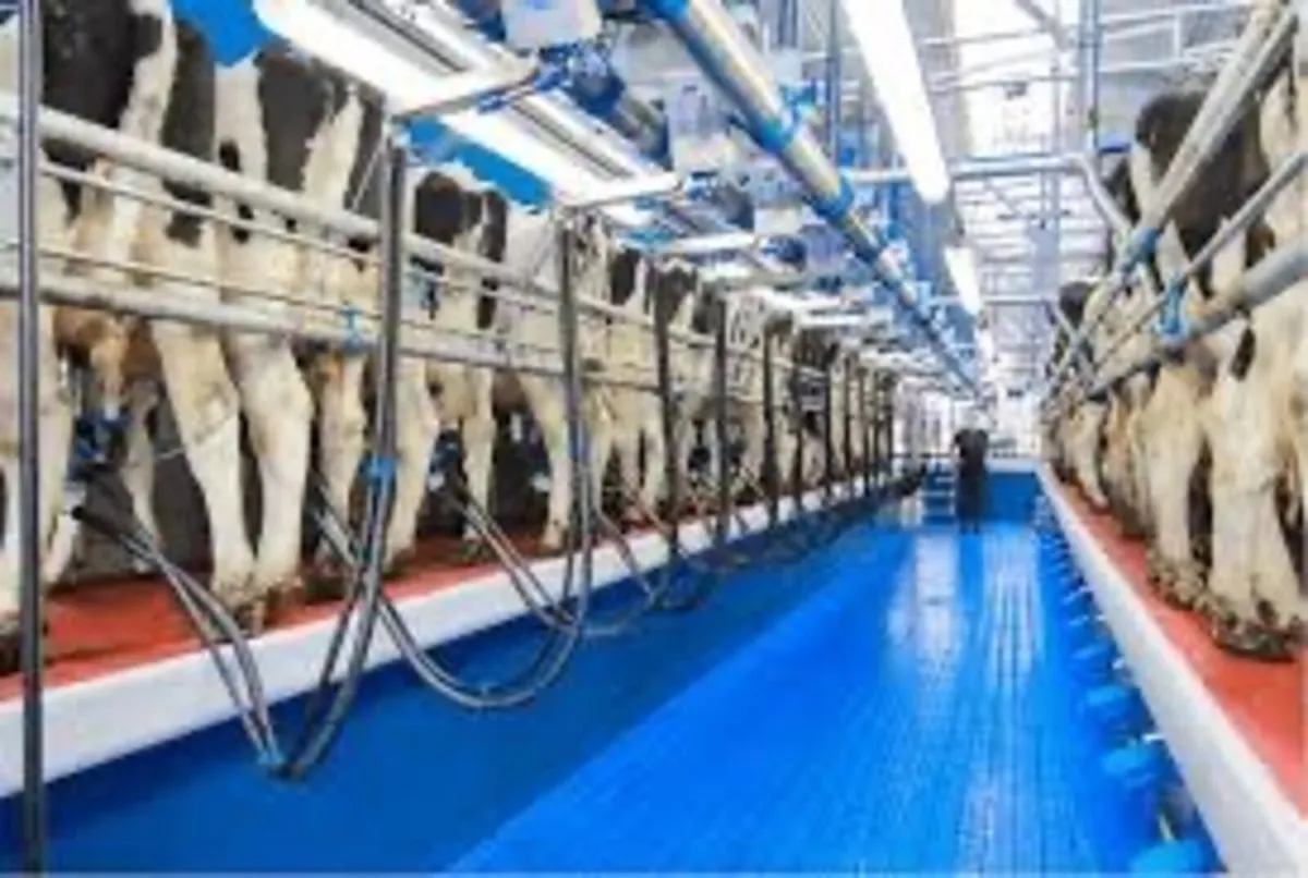 Relief milking