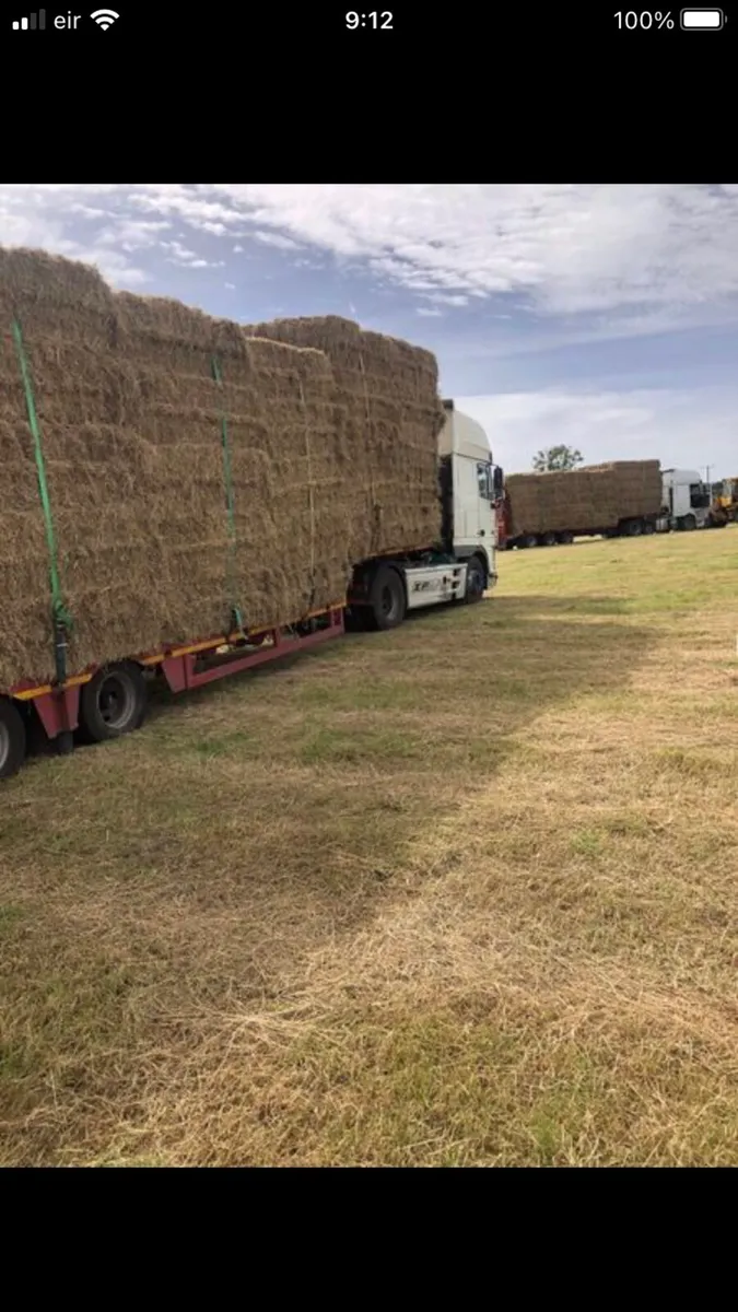 Hay and straw - Image 2