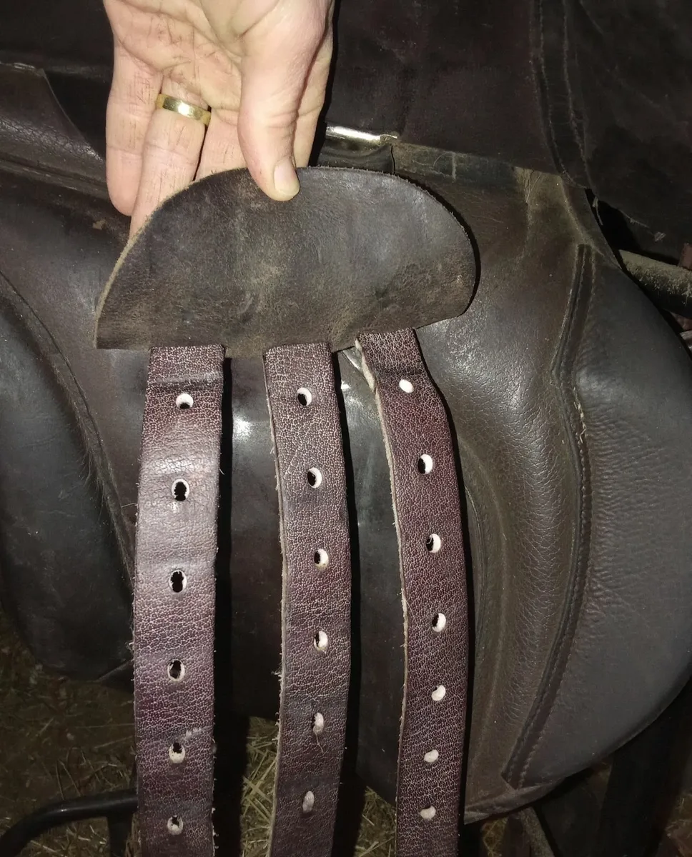 GP saddle 18" - Image 2