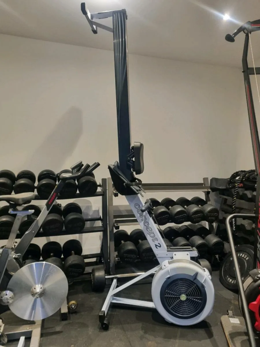 Concept 2 Rower and Wolverson Ski Erg - Image 3