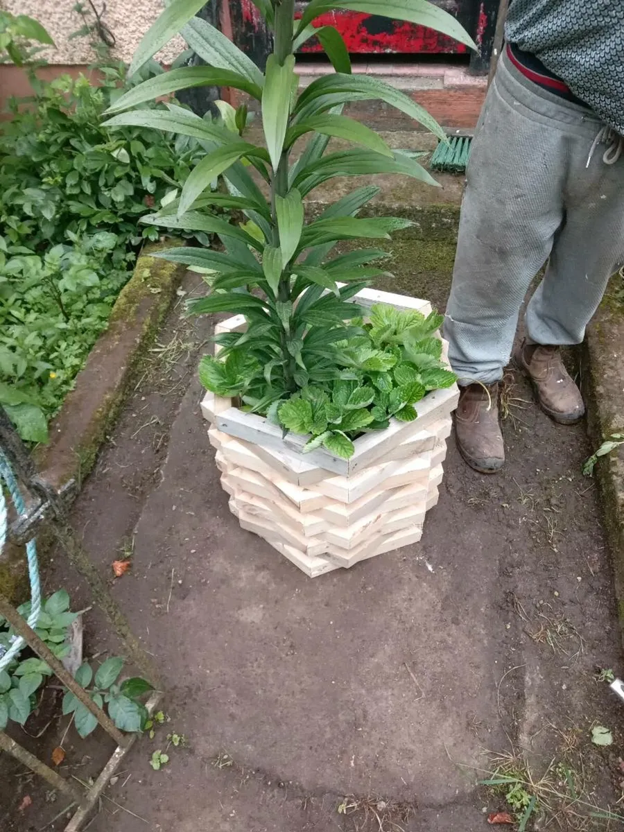 Flower pots/ planters - Image 1