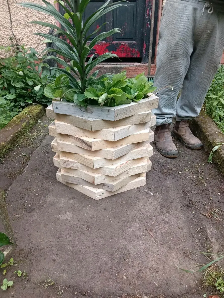 Flower pots/ planters - Image 2