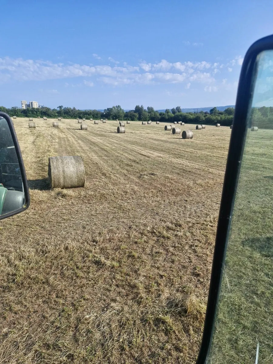 Hay