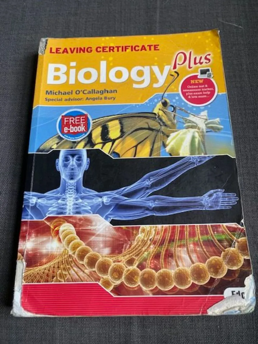 school books - Image 1