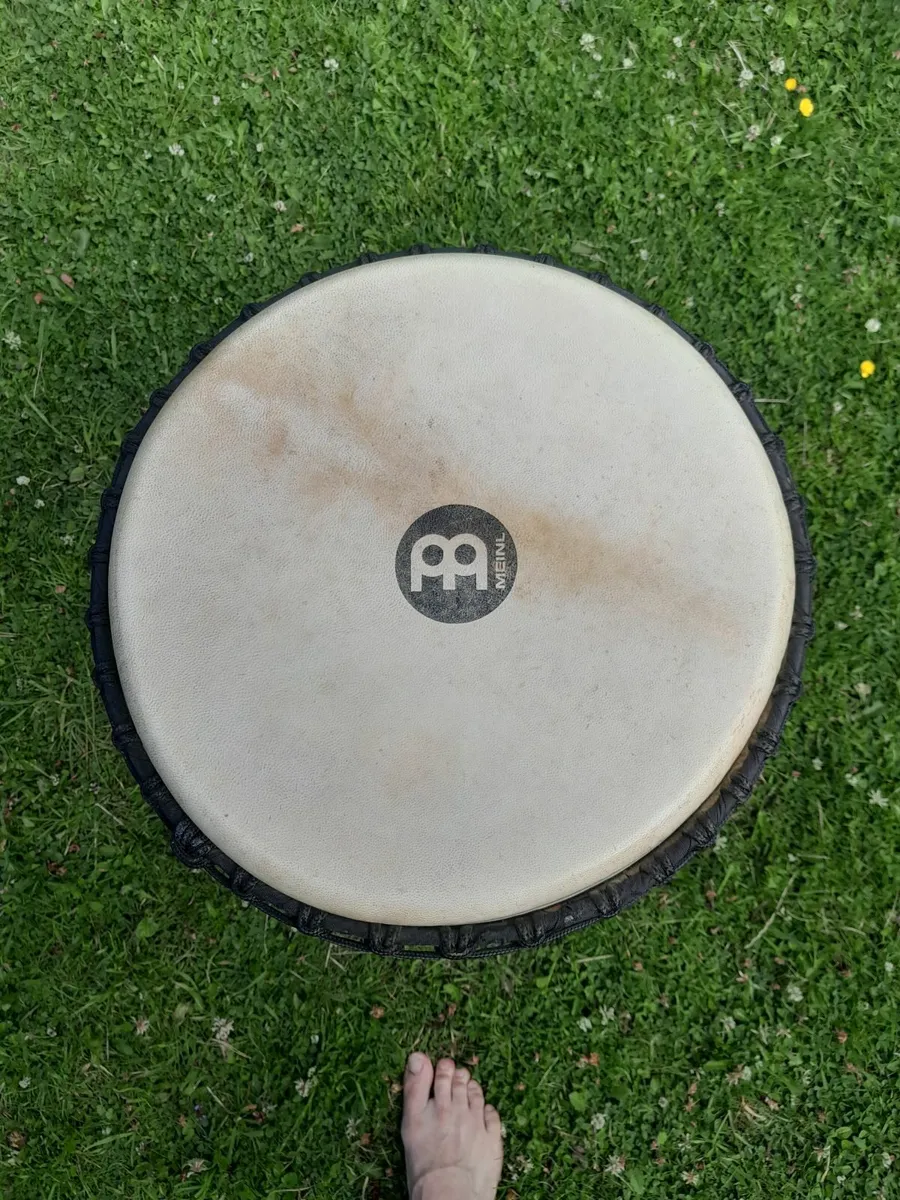 Meinl Djembe - Image 2