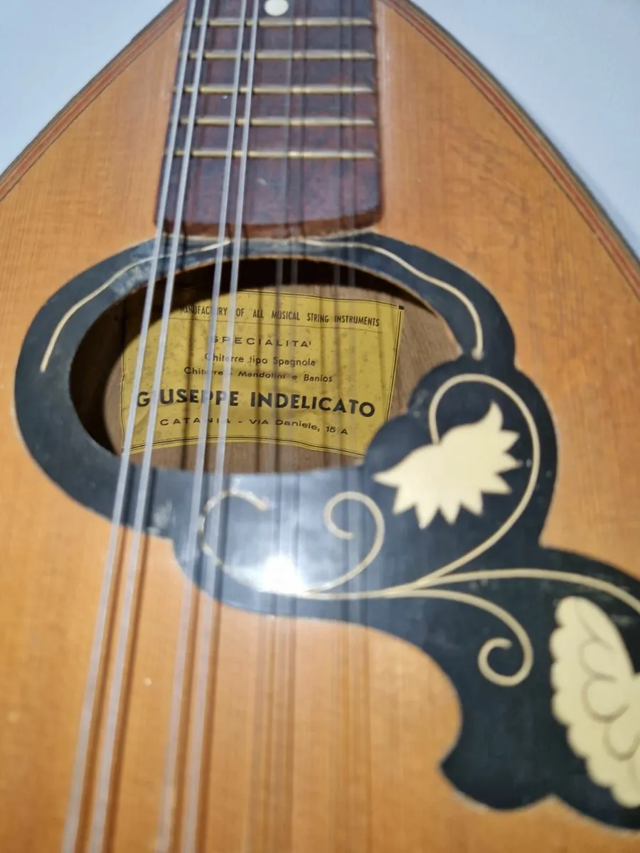 Vintage(1910 - 1925) Giuseppe Indelicato Mandolin - Image 4