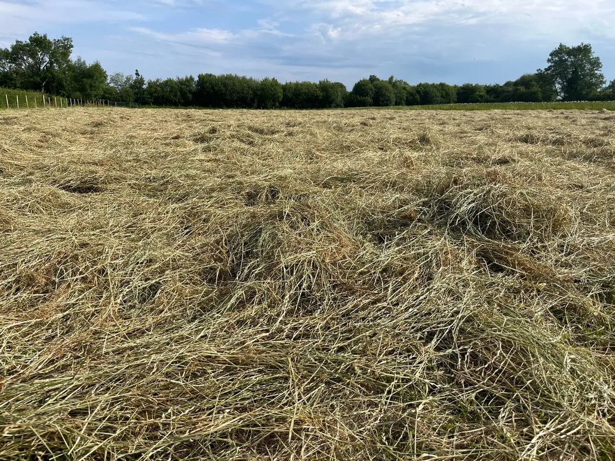 Haylage & Hay
