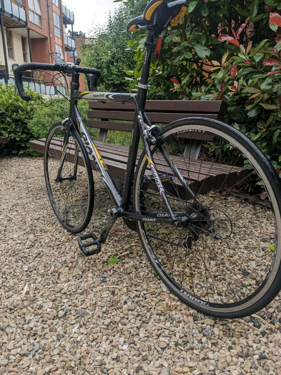 Giant road bike - Image 2