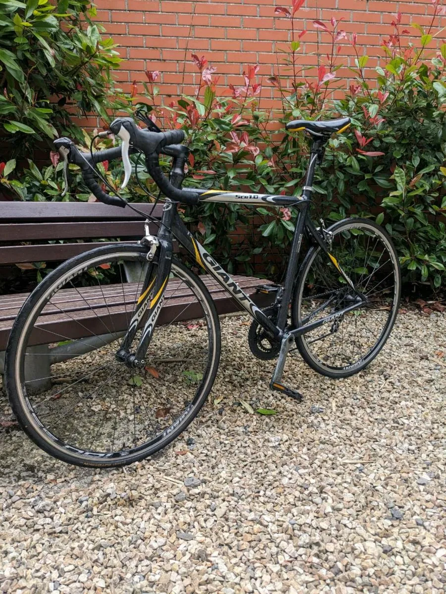 Giant road bike - Image 3