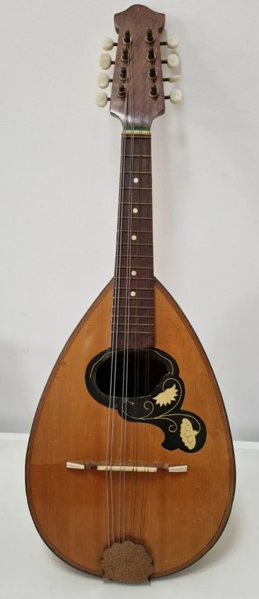 Vintage(1910 - 1925) Giuseppe Indelicato Mandolin - Image 1