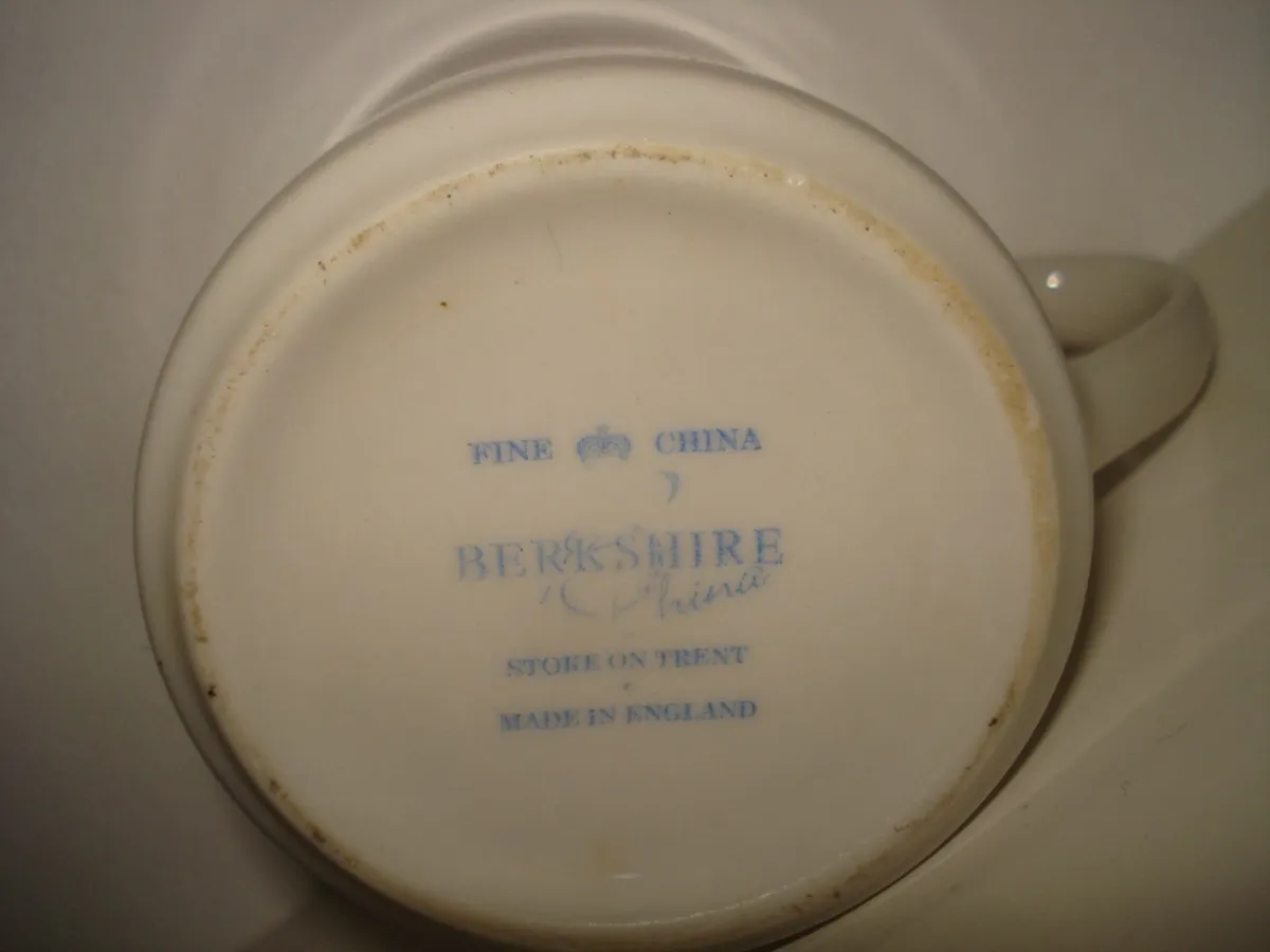 PUNJANA FINE CHINA MUG. - Image 4