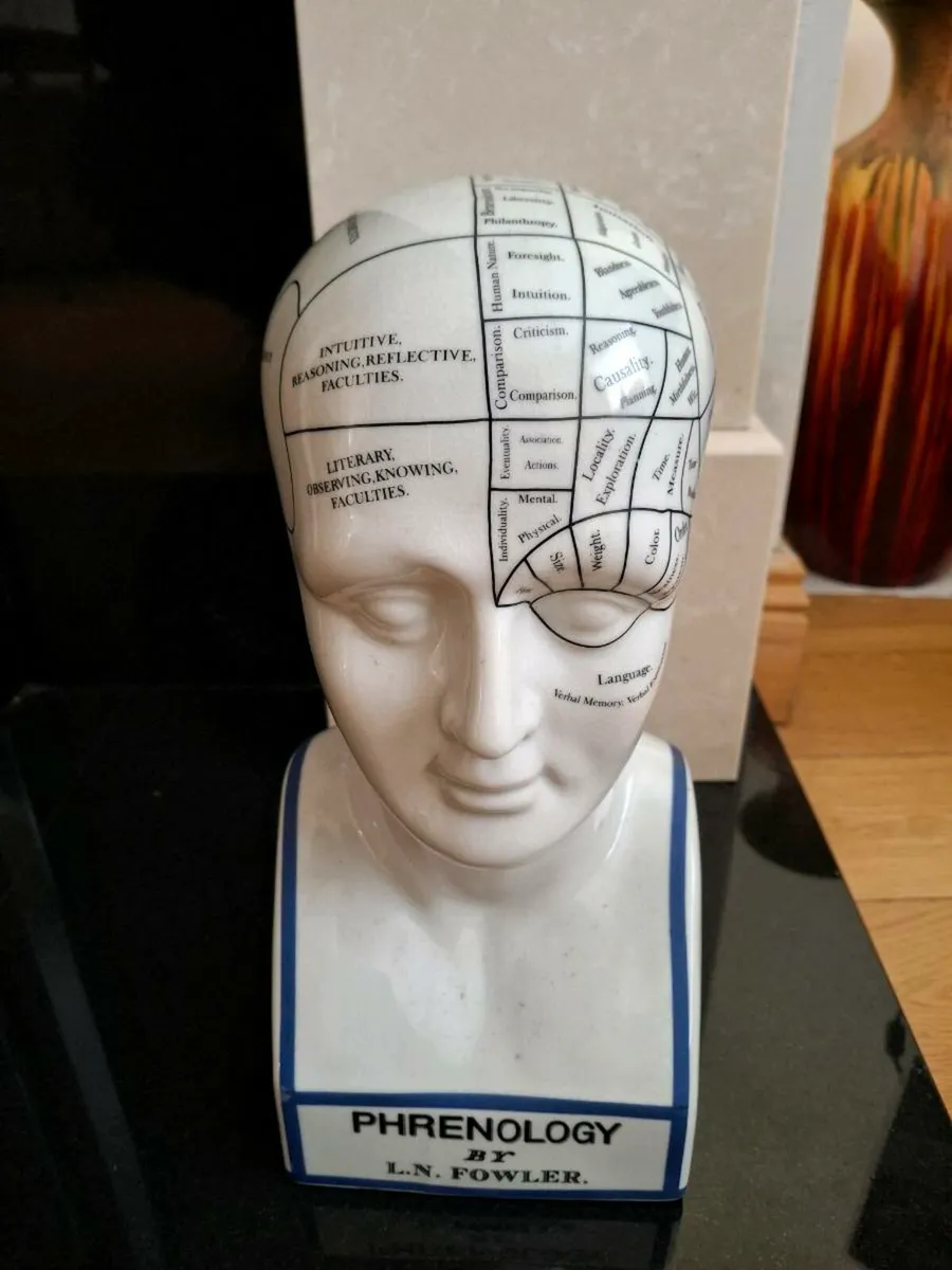 Phrenology Bust - Image 1