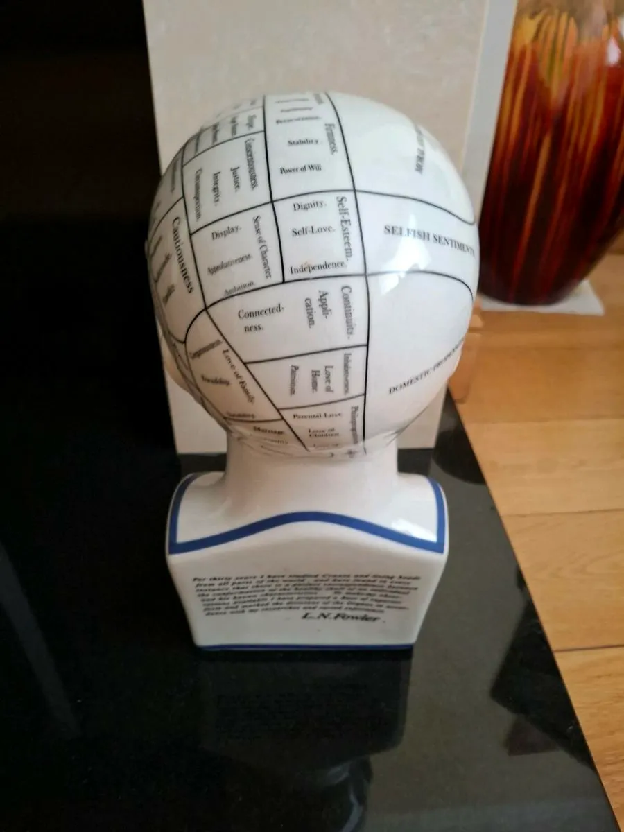 Phrenology Bust - Image 2