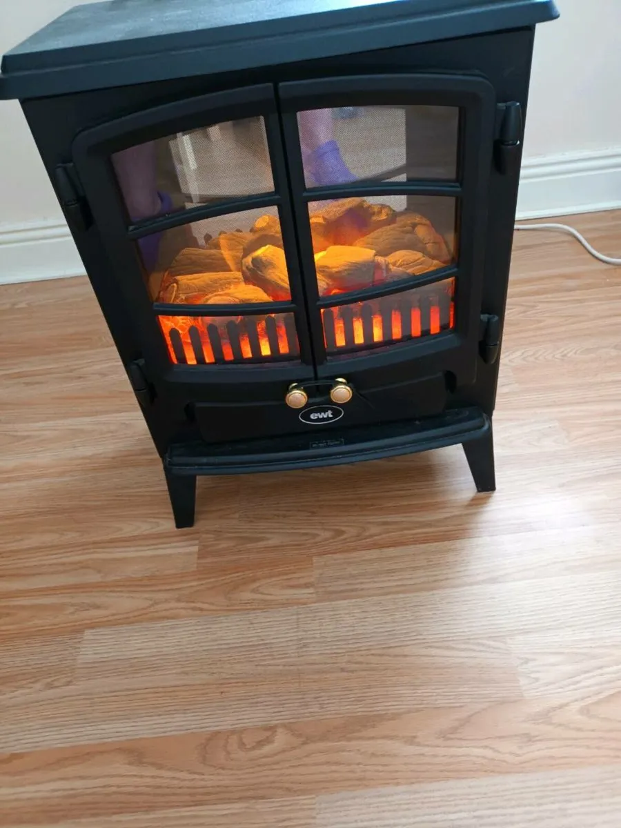 Electric fire