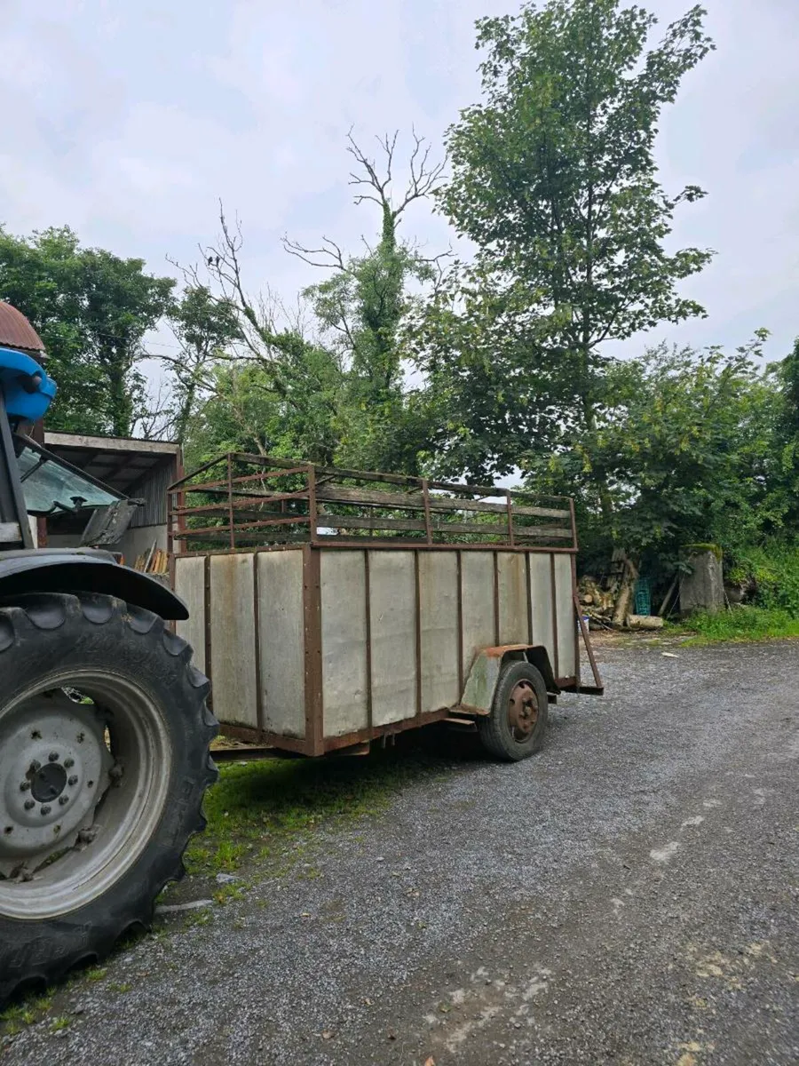 2 cow cattle trailer - Image 1