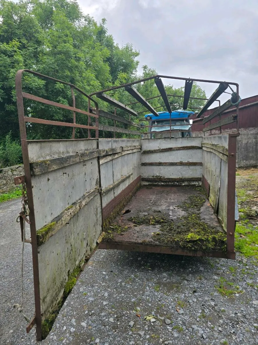 2 cow cattle trailer - Image 2