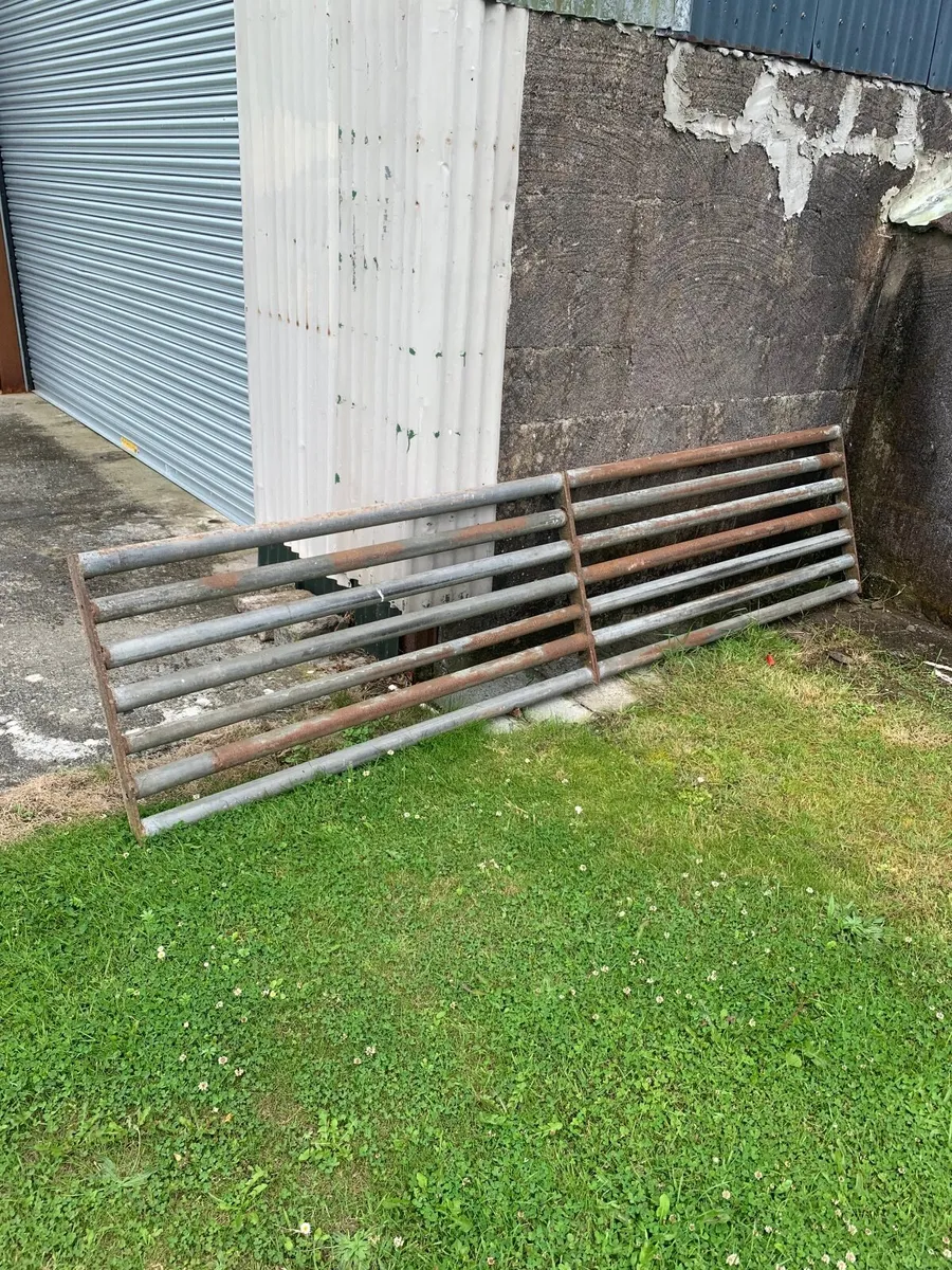 Cattle Grid - Image 2