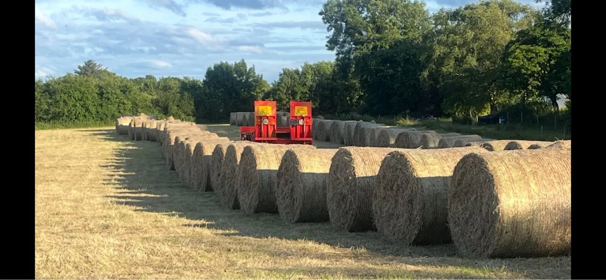 Bales of hay - Image 1