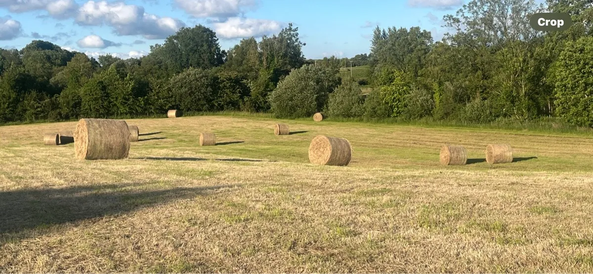 Bales of hay - Image 2