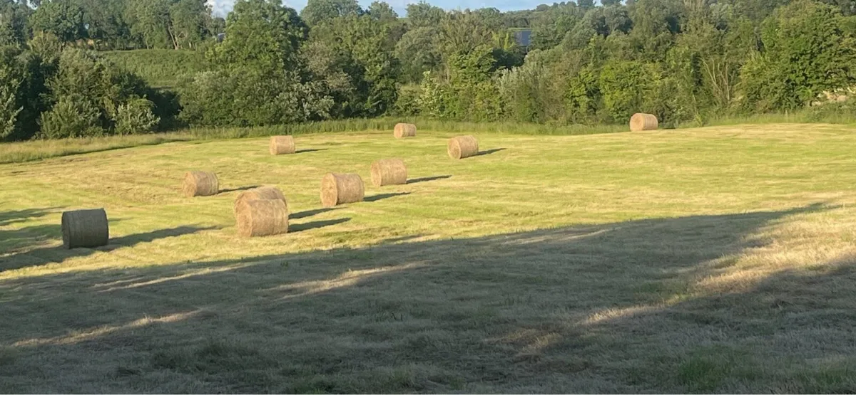 Bales of hay - Image 3