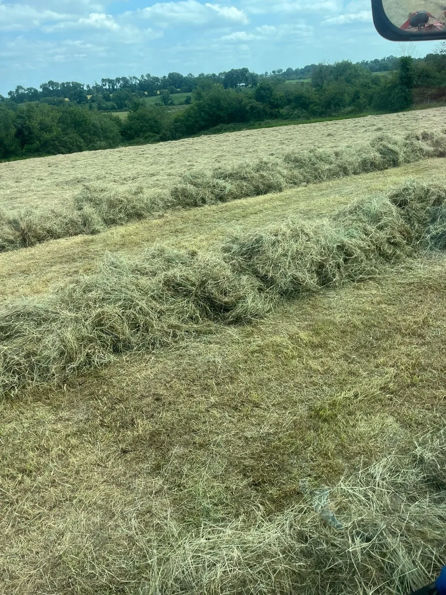 Bales of hay - Image 4