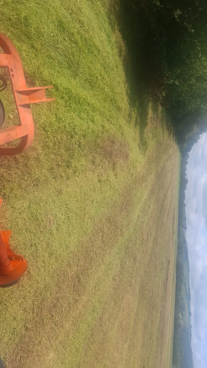 Mulching available - Image 1