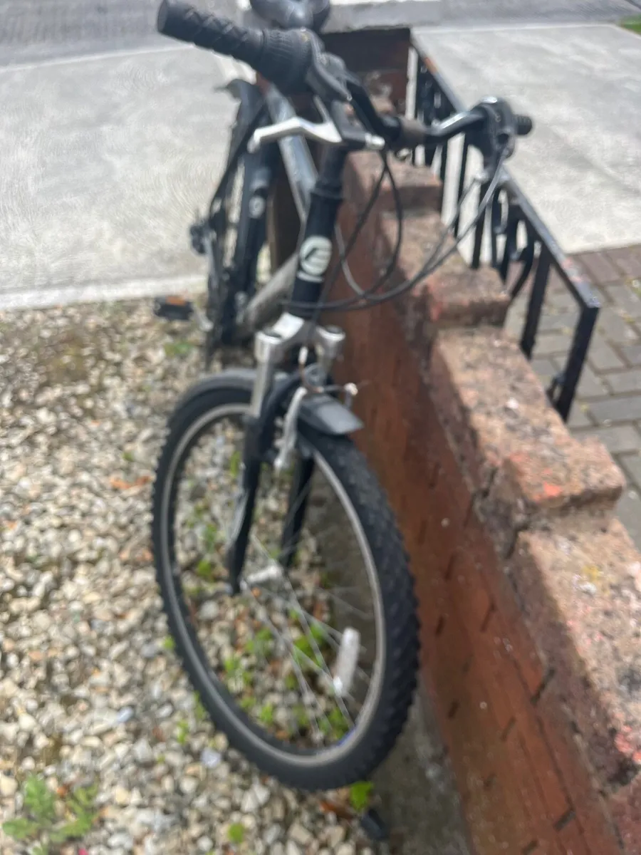 Bike - Image 1