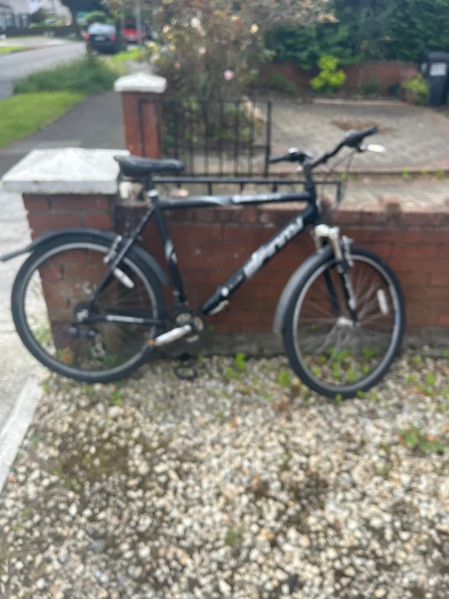 Bike - Image 2