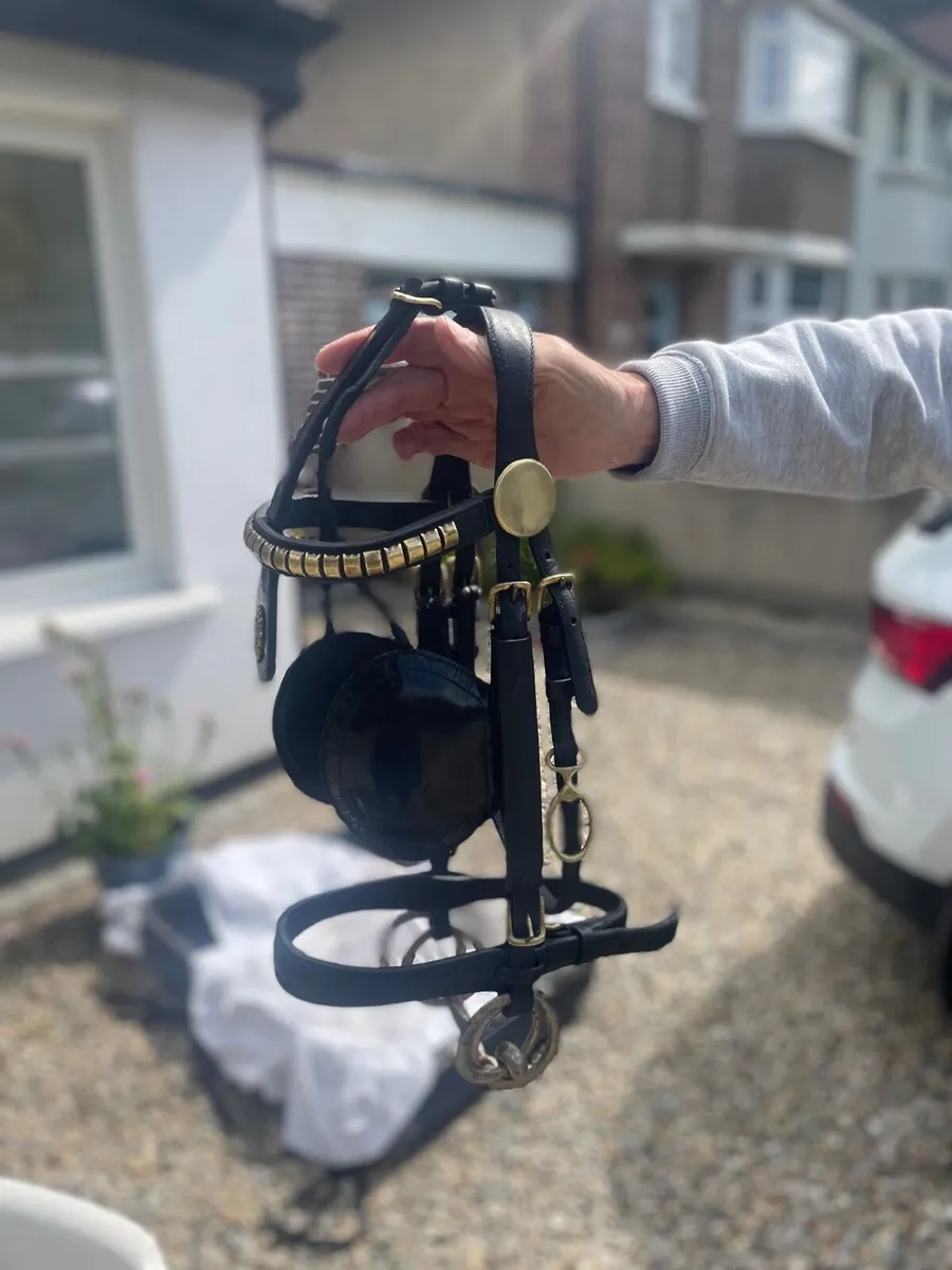 Cob Size Harness - Image 2