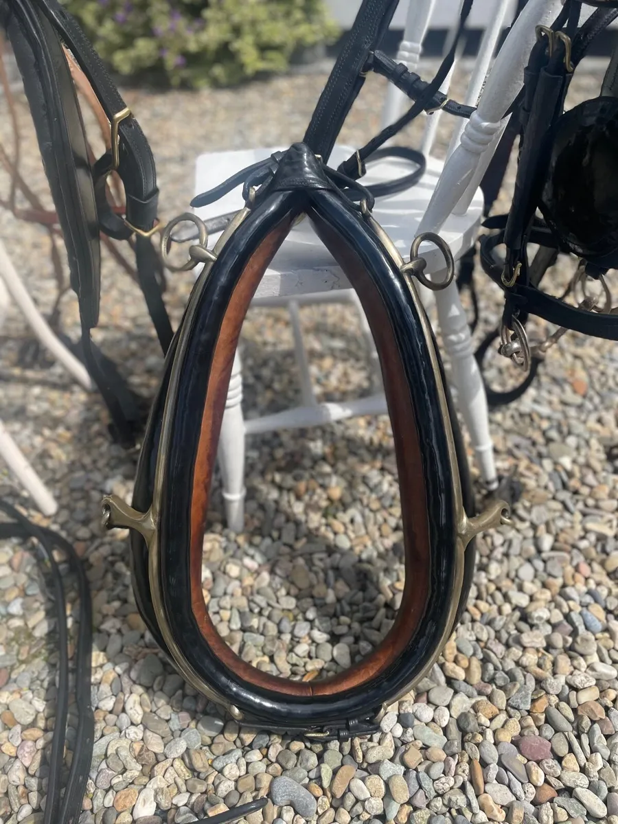 Cob Size Harness - Image 3