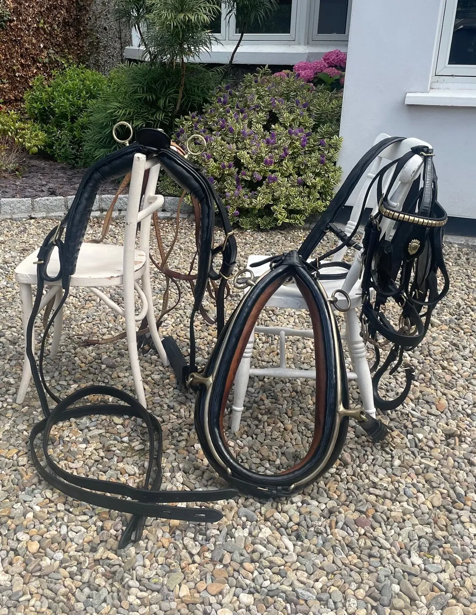 Cob Size Harness - Image 1