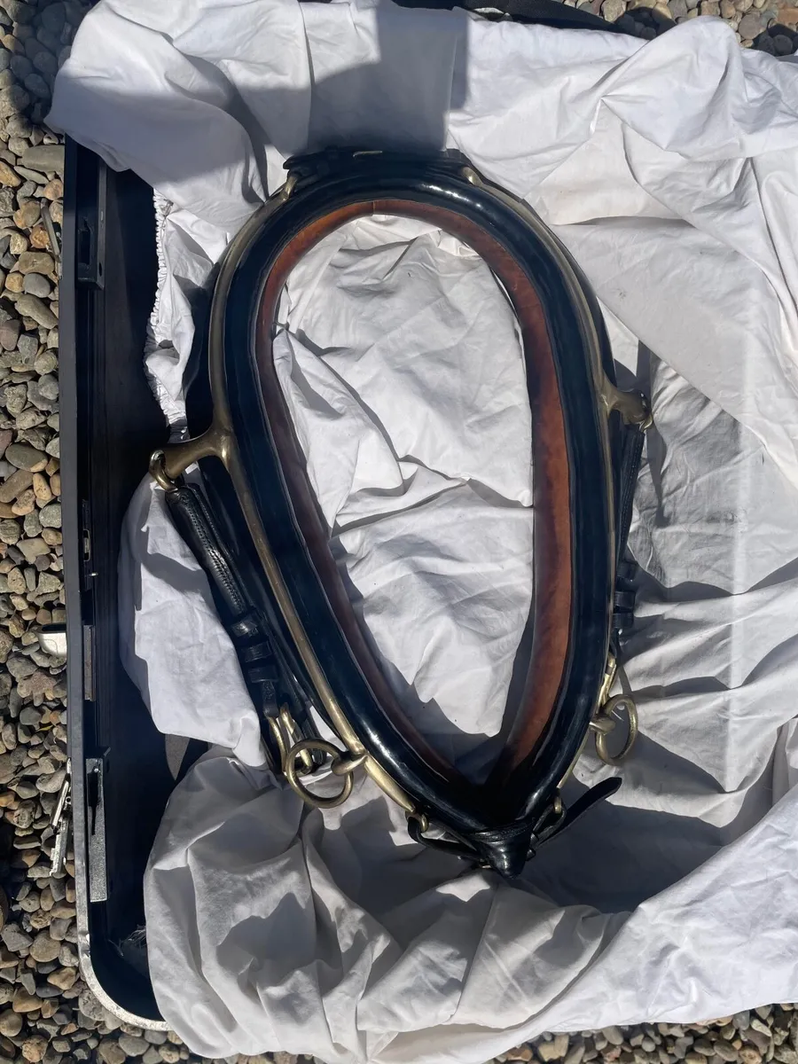 Cob Size Harness - Image 4