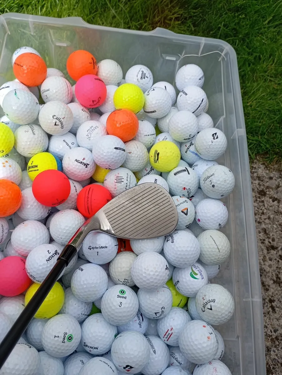 Golf club - Image 1