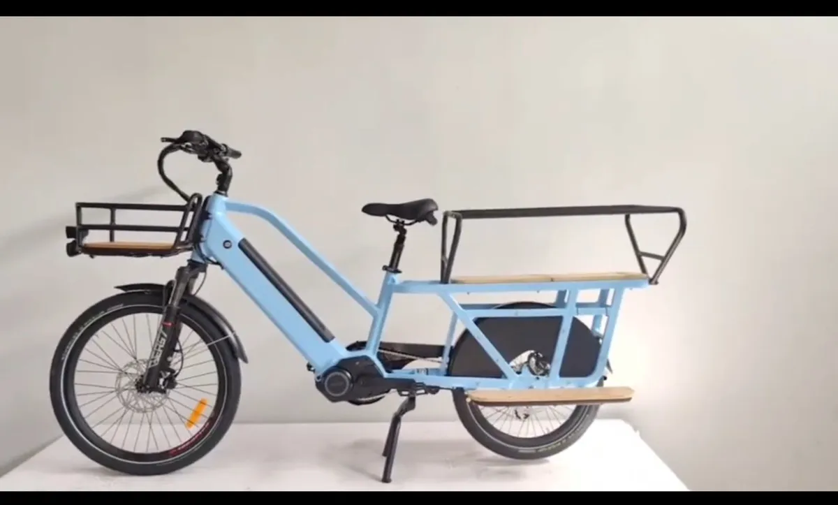 Electric Cargo bike new - Image 1